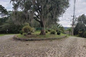 Terreno com 1091m², no bairro Monte Bérico em Caxias do Sul para Comprar