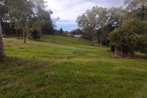 Chácara com 63810m², no bairro Cruzeiro em Caxias do Sul para Comprar