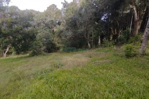 Chácara com 63810m², no bairro Cruzeiro em Caxias do Sul para Comprar