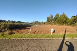 Terreno, no bairro Monte Bérico em Caxias do Sul para Comprar