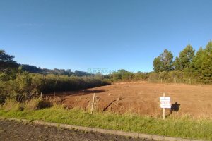 Terreno, no bairro Monte Bérico em Caxias do Sul para Comprar