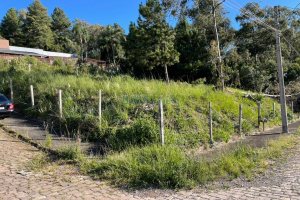 Terreno com 720m², no bairro Santa Lúcia em Caxias do Sul para Comprar