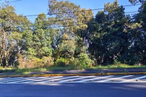 Terreno, no bairro Altos do Seminario em Caxias do Sul para Comprar