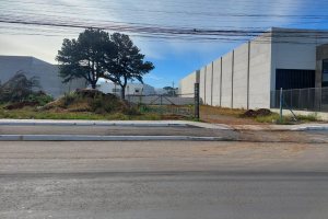 Terreno com 3000m², no bairro Desvio Rizzo em Caxias do Sul para Alugar