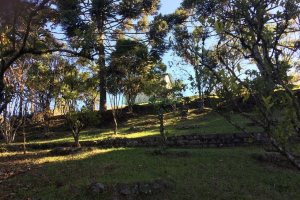 Terreno, no bairro Ana Rech em Caxias do Sul para Comprar