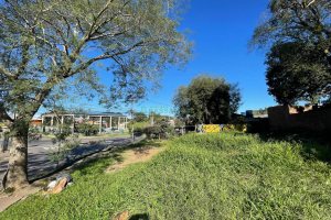 Terreno, no bairro Desvio Rizzo em Caxias do Sul para Comprar