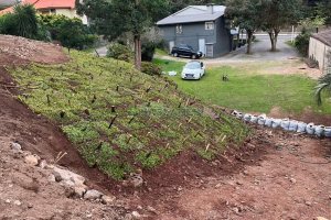 Terreno, no bairro Santa Corona em Caxias do Sul para Comprar