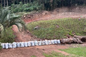 Terreno, no bairro Santa Corona em Caxias do Sul para Comprar