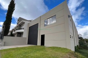 Pavilhão com 378m², no bairro São Luiz em Caxias do Sul para Alugar