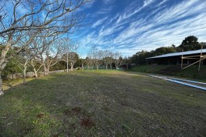Chácara com 1300m², no bairro Forqueta em Caxias do Sul para Alugar