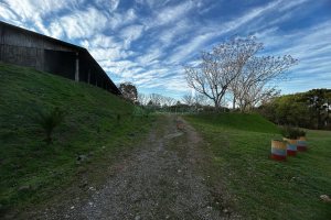 Chácara com 1300m², no bairro Forqueta em Caxias do Sul para Alugar