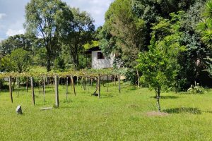 Casa com 72m², 2 dormitórios, 1 vaga, no bairro Fazenda Souza em Caxias do Sul para Comprar