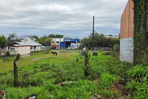 Terreno, no bairro Desvio Rizzo em Caxias do Sul para Comprar