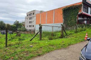 Terreno, no bairro Desvio Rizzo em Caxias do Sul para Comprar