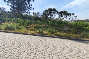 Terreno com 412m², no bairro Nossa Senhora da Conceição em Caxias do Sul para Comprar