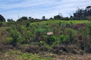 Terreno com 409m², no bairro Monte Bérico em Caxias do Sul para Comprar
