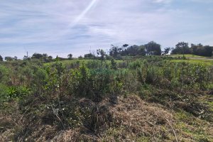 Terreno com 409m², no bairro Monte Bérico em Caxias do Sul para Comprar