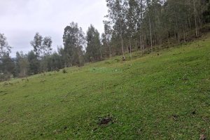 Chácara, no bairro Interior em São Marcos para Comprar