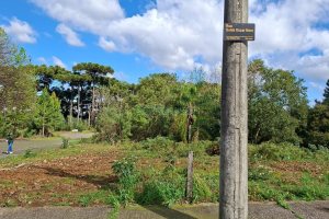 Terreno com 1080m², no bairro Vila Horn em Caxias do Sul para Comprar