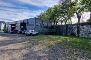 Pavilhão com 535m², no bairro Ana Rech em Caxias do Sul para Comprar