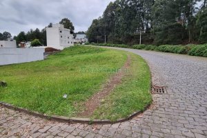 Terreno, no bairro Desvio Rizzo em Caxias do Sul para Comprar