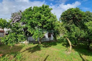 Terreno, no bairro Pioneiro em Caxias do Sul para Comprar