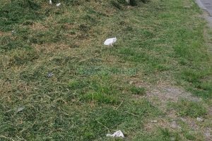 Terreno, no bairro Nossa Senhora das Graças em Caxias do Sul para Comprar