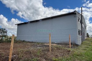 Pavilhão com 300m², no bairro Jardim Eldorado em Caxias do Sul para Alugar