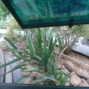 Sala com 101m², 2 vagas, no bairro Centro em Caxias do Sul para Comprar