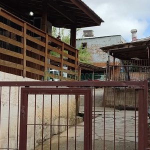 Terreno, 2 dormitórios, 1 vaga, no bairro Lourdes em Caxias do Sul para Comprar