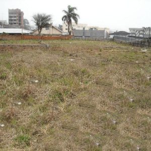 Terreno com 780m², no bairro Sagrada Família em Caxias do Sul para Alugar