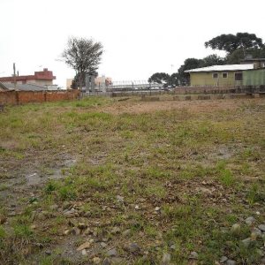 Terreno com 980m², no bairro Sagrada Família em Caxias do Sul para Alugar