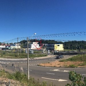 Terreno com 5220m², no bairro Sanvitto em Caxias do Sul para Alugar