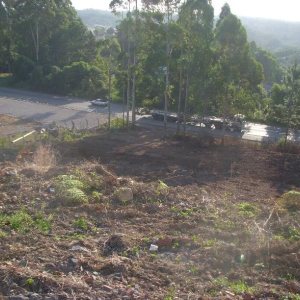 Terreno com 7000m², no bairro São Giácomo em Caxias do Sul para Alugar