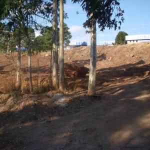 Terreno com 7000m², no bairro São Giácomo em Caxias do Sul para Alugar