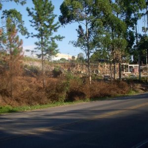 Terreno com 7000m², no bairro São Giácomo em Caxias do Sul para Alugar