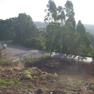 Terreno com 7000m², no bairro São Giácomo em Caxias do Sul para Alugar