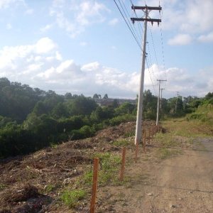 Terreno com 7000m², no bairro São Giácomo em Caxias do Sul para Alugar