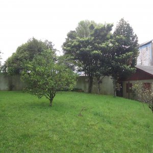 Casa com 250m², 3 dormitórios, 2 vagas, no bairro Petrópolis em Caxias do Sul para Alugar