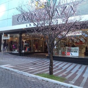 Loja com 25m², no bairro Centro em Caxias do Sul para Alugar