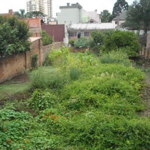 Terreno com 390m², no bairro Pio X em Caxias do Sul para Alugar