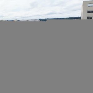 Terreno com 1568m², no bairro Sagrada Família em Caxias do Sul para Alugar