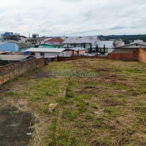 Terreno com 1568m², no bairro Sagrada Família em Caxias do Sul para Alugar