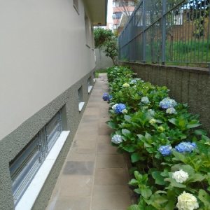 Casa Comercial com 280m², 3 dormitórios, no bairro Centro em Caxias do Sul para Alugar