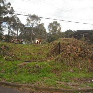 Terreno com 4000m², no bairro São Cristóvão em Caxias do Sul para Alugar