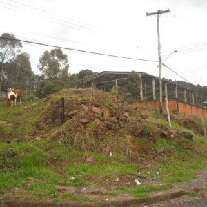 Terreno com 4000m², no bairro São Cristóvão em Caxias do Sul para Alugar