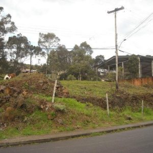 Terreno com 4000m², no bairro São Cristóvão em Caxias do Sul para Alugar