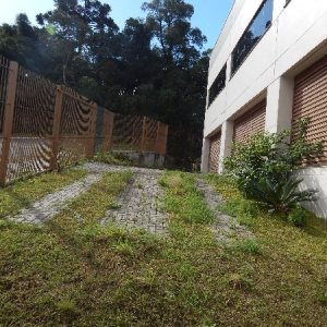 Pavilhão com 300m², no bairro Sanvitto em Caxias do Sul para Comprar