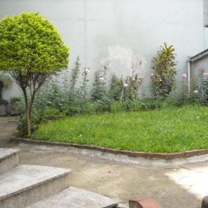 Casa Comercial com 550m², 3 dormitórios, 2 vagas, no bairro São Pelegrino em Caxias do Sul para Alugar