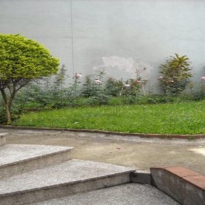 Casa Comercial com 550m², 3 dormitórios, 2 vagas, no bairro São Pelegrino em Caxias do Sul para Alugar